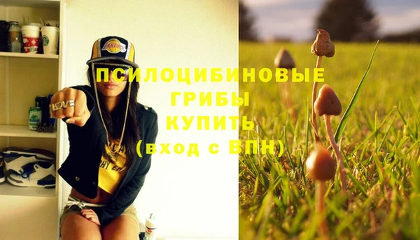 трава Балахна