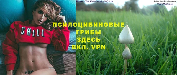 крисы Липки